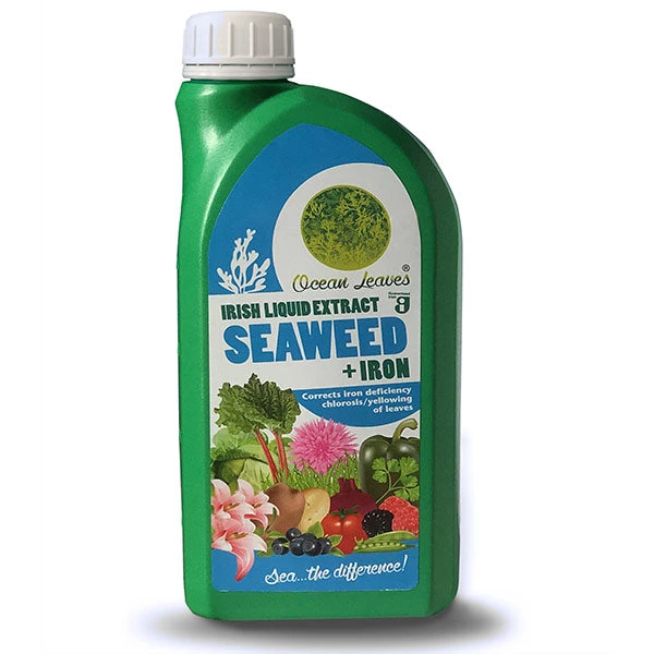 Ocean Leaves, Irish Liquid Seaweed Extract With IRON 3 Ocean Leaves, Irish Liquid Seaweed Extract With IRON