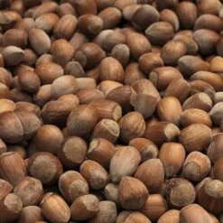 Filbert - Corylus Maxima Kentish Cob -Eco Nest Store Cobnut Kentish Cob 02